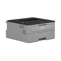 Brother HL-L2350DWG1